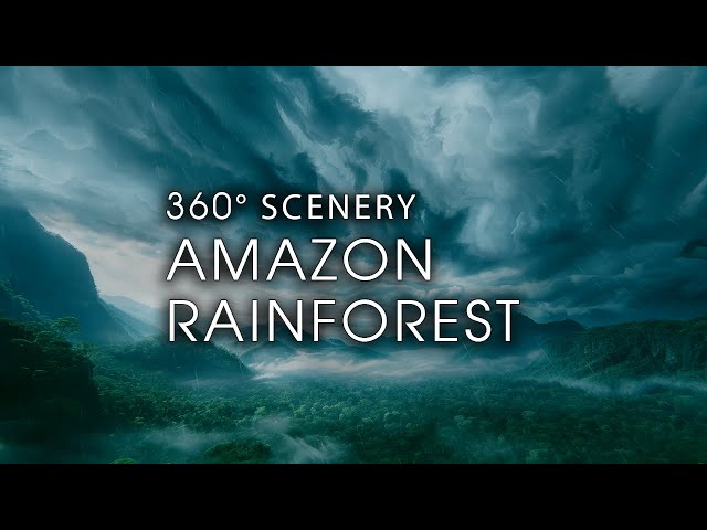 Amazon Rainforest - Meditative 360° Scenery (8k)