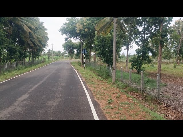 Coconut farm house land for sale in Chamarajanagar (8618143750)