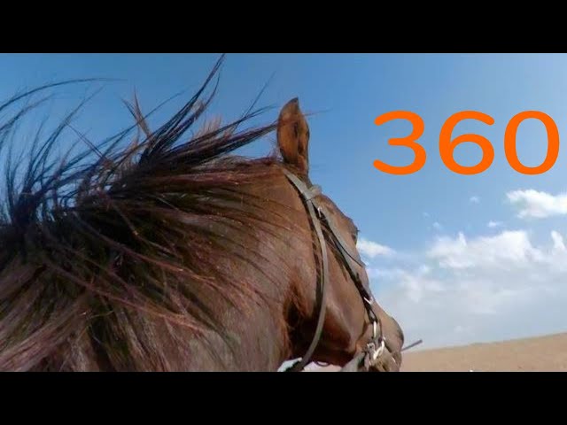 360 Horse Riding In The Countryside - 360° VR 4K - GoPro Fusion