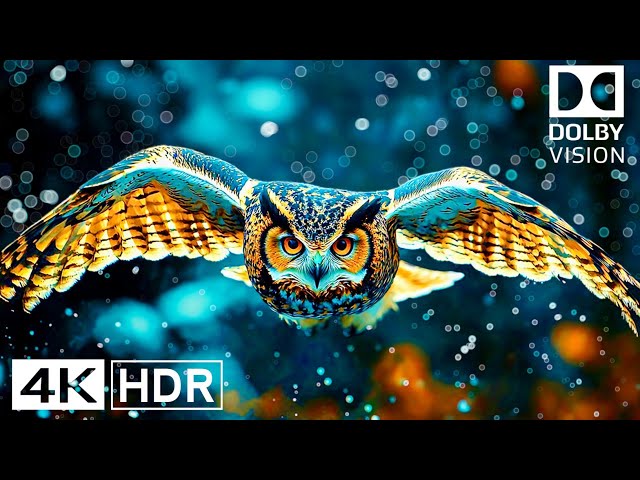 4K HDR 60 FPS | INSANE DOLBY VISION (4K Video) ULTRA HD