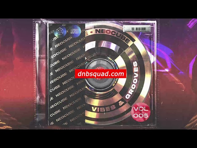 Neocube - Vibes & Grooves 005 / Drum and Bass Mix 2021 / Jungle / Liquid / Neurofunk / Dnb Squad