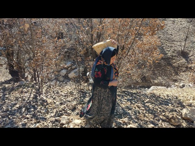 "Building a winter shelter: collecting stones with Zahra and her child"