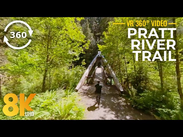 360° VR Forest Walk along Pratt River Trail - 8K Summer Nature Scenery and Forest Sounds