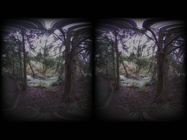 Carkeek Park, Seattle, Washington, USA - VR180 3D