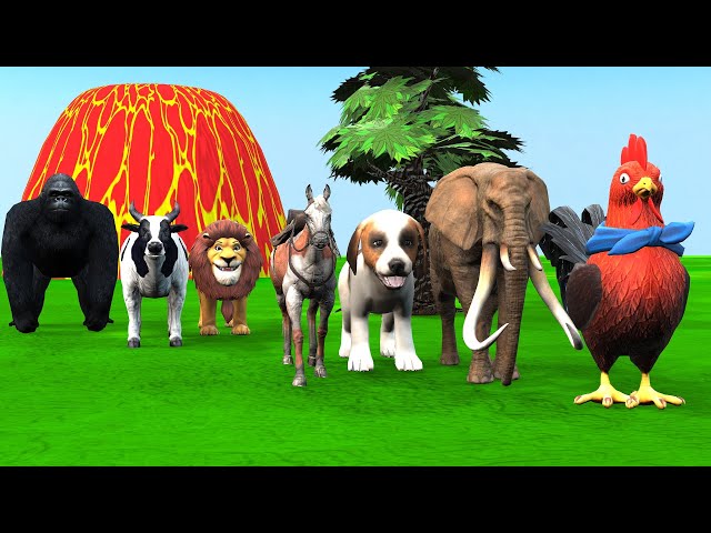 Paint & Animals Dog, Pig, Rabit Buffalo, Lion Fountain Crossing Transformation Animal Cartoon -P1