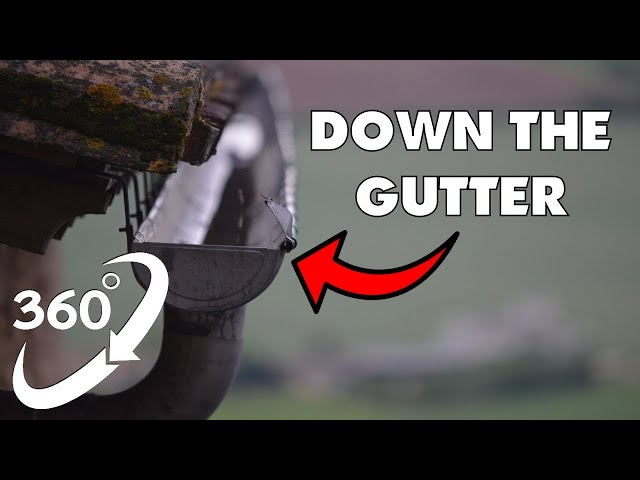 360 Video | Down The Gutter | VR 4K