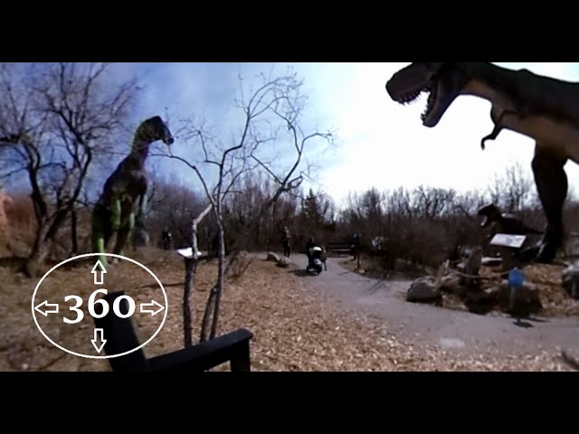 Calgary Zoo: Dinosaur Park Part 1| ANIMATRONIC | 360 DEGREES | VIRTUAL |