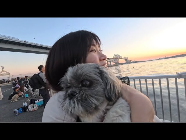 【可愛い犬 シーズー】レイと夕日を見に行ったよ【vlog】