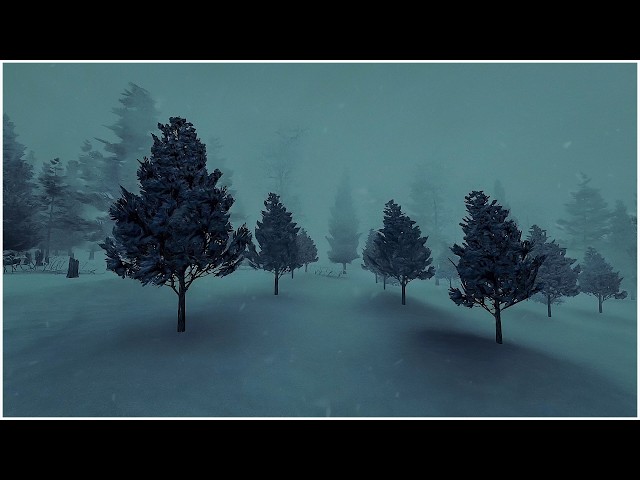 Ultimate Frosty Snowstorm Sounds for Sleeping┇Heavy Howling Wind & Loud Blowing Snow┇Windy Night