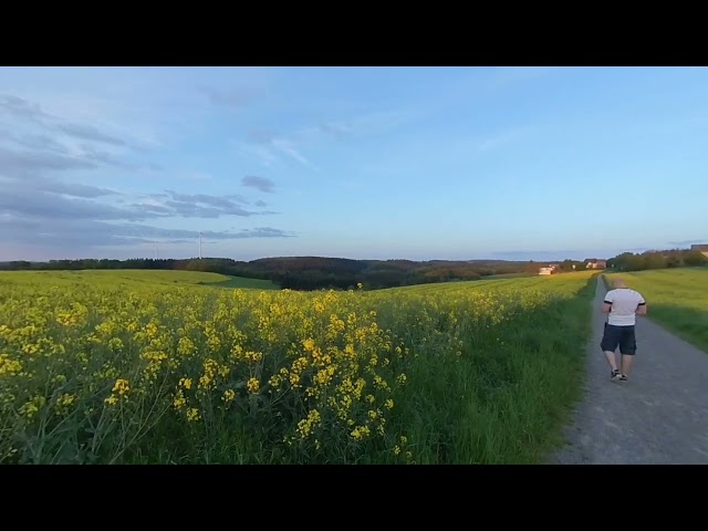 VR: sunsenset field (germany)