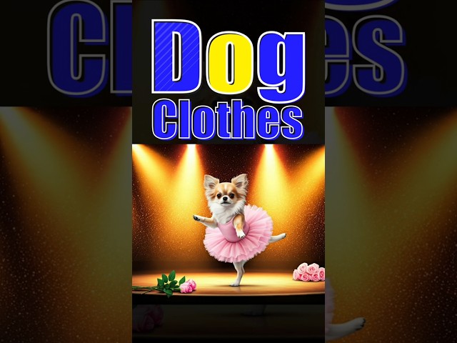 New clothes for my cute Dog I Dog Clothes: Fashion Trends I Ultimate Guide