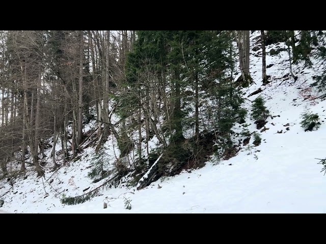 Schliersee to Tegernsee Walk, Munich, Germany | (München, Deutschland) || 4K HDR