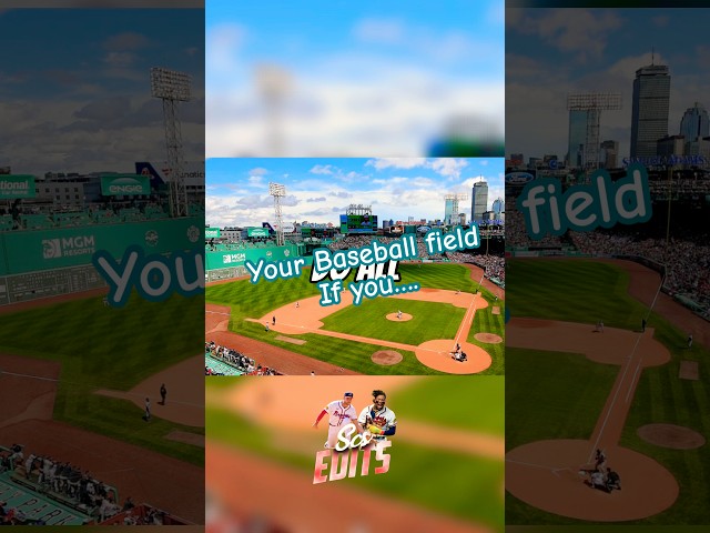 Your Baseball Field If You… #shorts #mlb #ifyou #baseballfield