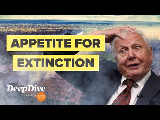 Why David Attenborough is worried about biodiversity loss