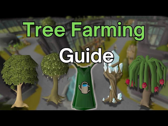 Tree Farming Run Guide - 1-99 Farming OSRS