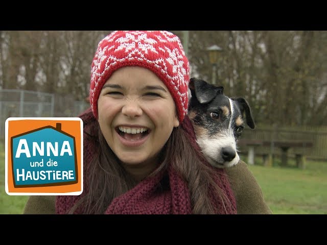 Hund | Information für Kinder | Anna und die Haustiere