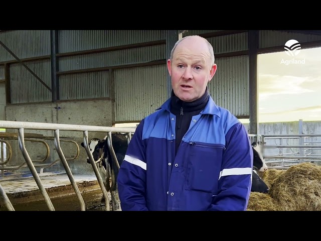 What matters most to dairy farmers in General Election 2024?