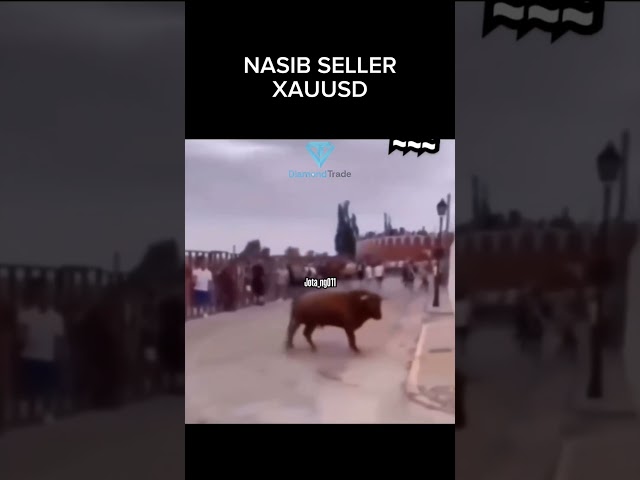 nasib seller XAUUSD 😊 #diamondtrade #trading #edukasi #investasiforex #forex #trader