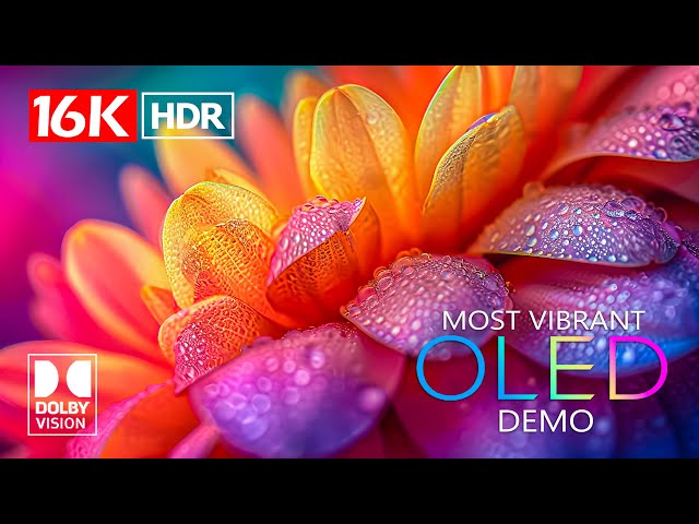 MOST VIBRANT🌸 Dolby Vision HDR 16K Video ULTRA HD  (4K / 8K TV)