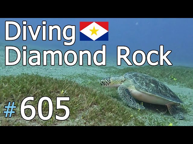 Diamond Rock, Saba (#605)