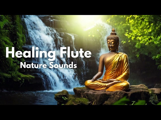 Healing Flute | Nature Sounds | Buddha Meditation Music