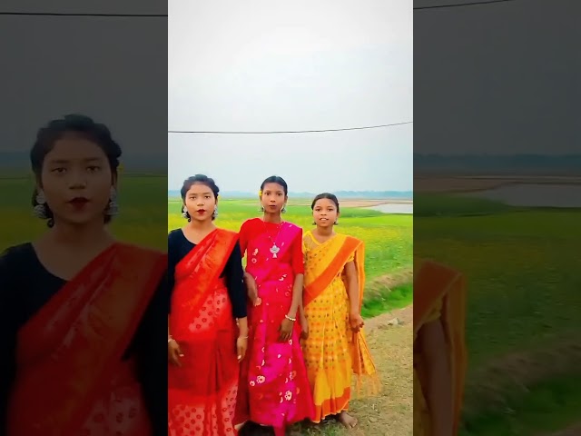 MALI BAHA LANDA || NEW SANTAL  VIDEO 2025 || SONALI & MOUPRIYA || SANTALI STATUS #shorts #santali