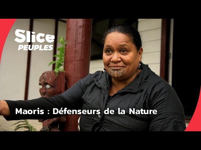 Nouvelle-Zélande : La Lutte des Maoris pour la Protection de la Nature | SLICE PEUPLES | DOC COMPLET