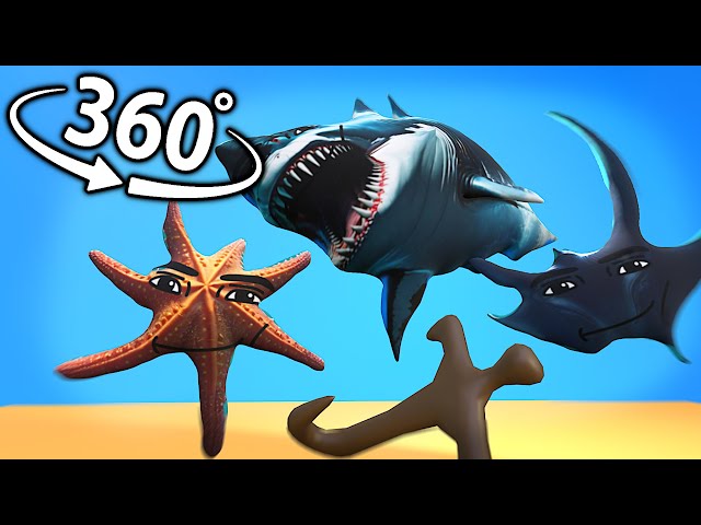 Oceanic Gegagedigedagedago in 360° VR / 4K