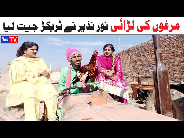 Noor Nazeer Murgho Ki Larai Tractor Jeet Lia Funny Video | Most Comedy Funny Video | You Tv Hd 2025