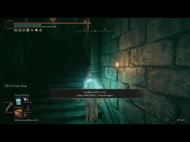 ELDEN RING Invasions Pickle Rick pulls it off