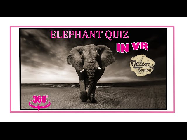 Elephant Quiz | 10 Elephant Facts in VR 360