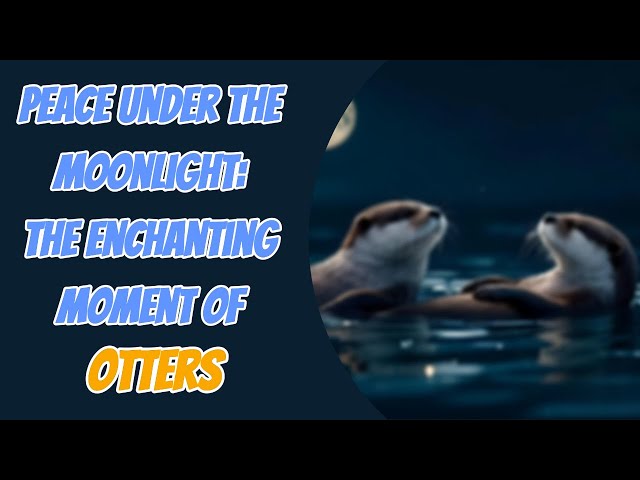 Peace Under the Moonlight The Enchanting Moment of Otters