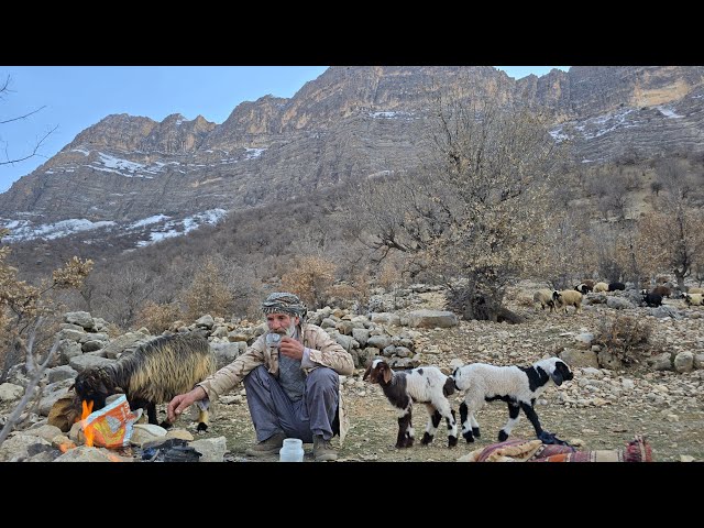 Iran nomadic life: Jahangir's journey to the snowy mountains to graze sheep