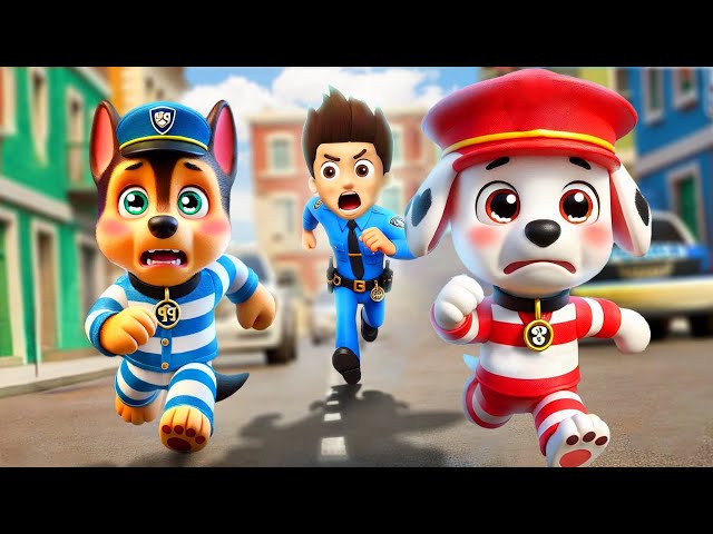 CHASE & Marshall Are In Prision? What Happened?! | Paw Patrol The Mighty Movie - Rainbow 3