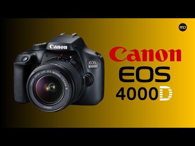 Most Affordable Canon Camera - Canon EOS 4000D - How to Set Up