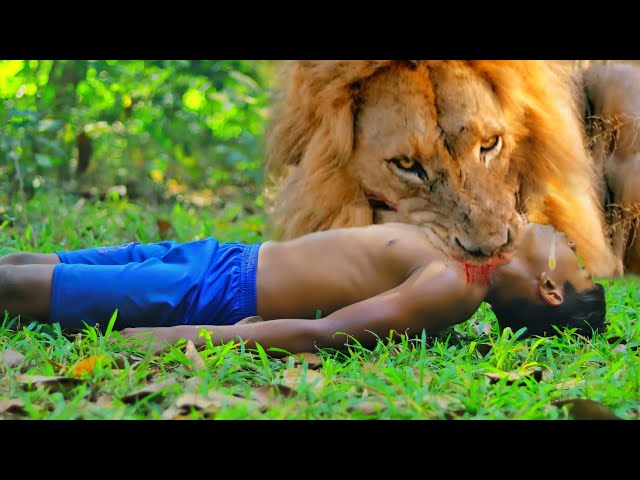 Lion Attack Man in Forest Lion AttackHunter Lion Attack Stories Part-22