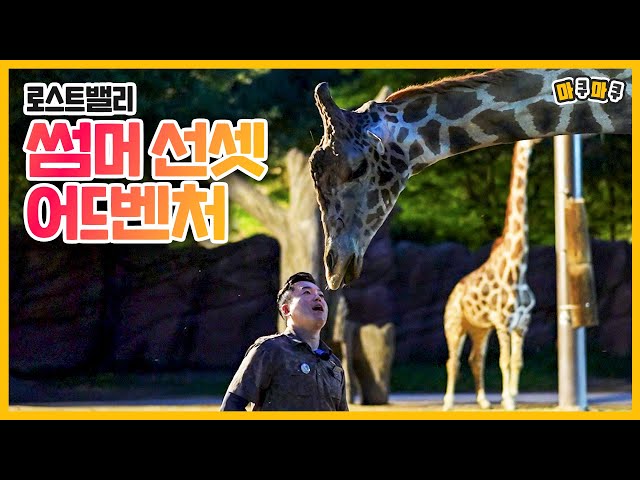 (SUB) Special Sights Of Herbivores Only Can Meet At Night│Everland Lost Valley