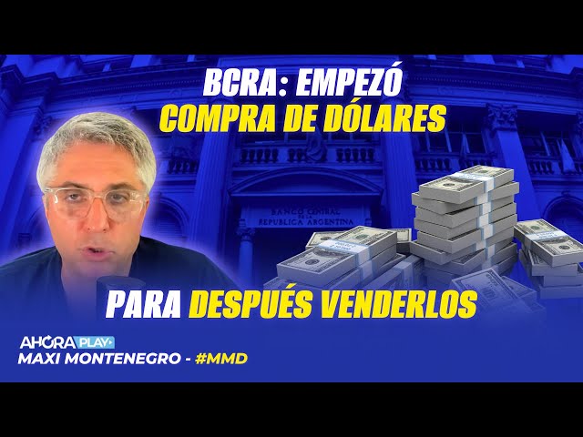 BCRA: EMPEZÓ COMPRA FUERTE DE DÓLARES PARA DESPUÉS VENDERLOS | Maxi Montenegro #maximediodía