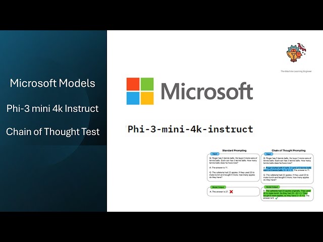 Microsoft Phi3 Mini 4K instruct  CoT  Prompting Test  #datascience  #machinelearning