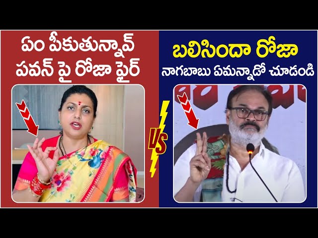 Nagababu Strong Counter to RK Roja | Pawan Kalyan | YS Jagan | Janasena Vs YCP | AP Politics