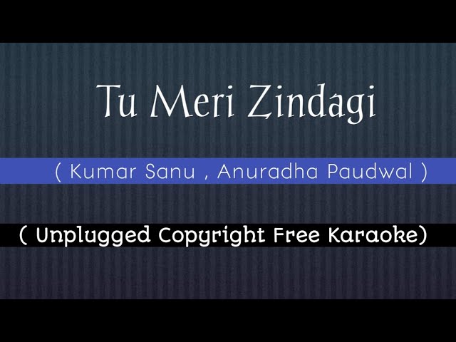 Tu Meri Zindagi Hai || Female Version || Insta Karaoke || Kumar Sanu , Anuradha Paudwal ||