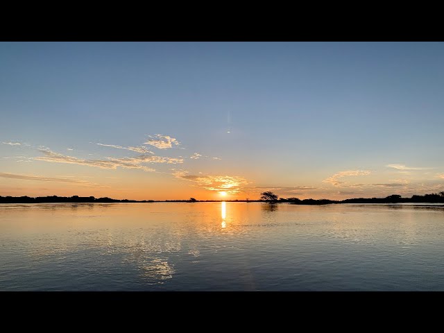 Namibia: Live feed from the Zambezi River