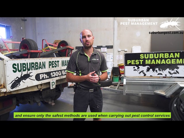 Pest Control at a Child Care Centre - Suburban Pest Management