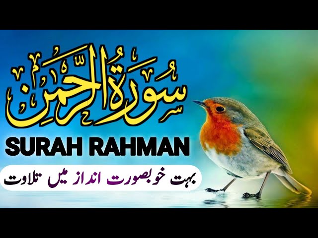 Surah rahman ❤️ Surah Ar rahman ❤️ beautiful Quran recitation سورۃ الرحمٰن episode 0015