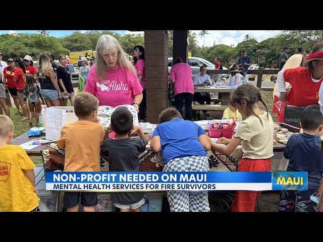 Maui non-profit looking for organization to help fire survivors heal