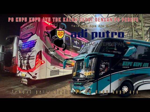 Menu Makan Bersama Layanan Adi Putro & Trip Report Bus Kupu Kupu Ayu‼️ Mandiraja Tanggerang