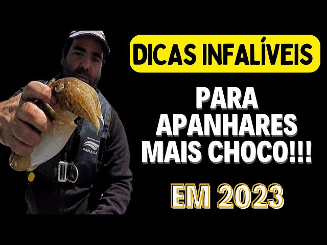 DICAS TESTADAS E INFALÍVEIS PARA APANHARES MAIS CHOCO EM 2023