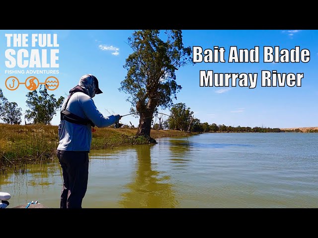 Bait And Blade Murray River | The Full Scale