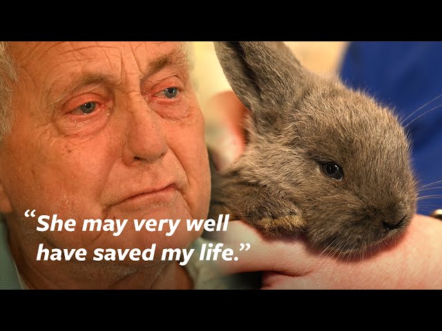 Animal Rescue helps man overwhelmed by 100+ beloved rabbits