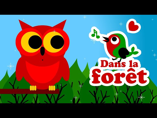 Dans la forêt lointaine 🐦 comptines pour bébé